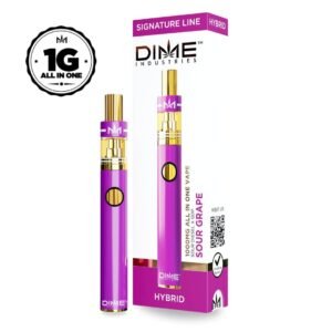 DIME DISPOSABLE - HYBRID | 1000MG