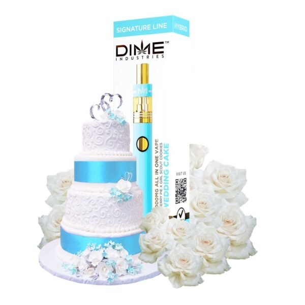 DIME DISPOSABLE - HYBRID | 1000MG - Image 3