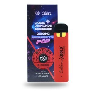 INFINITY POD DISPOSABLE - SATIVA | 2000MG