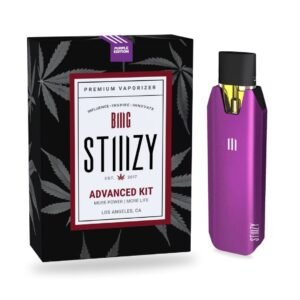 OFFICIAL BIIIG STIIIZY BATTERY