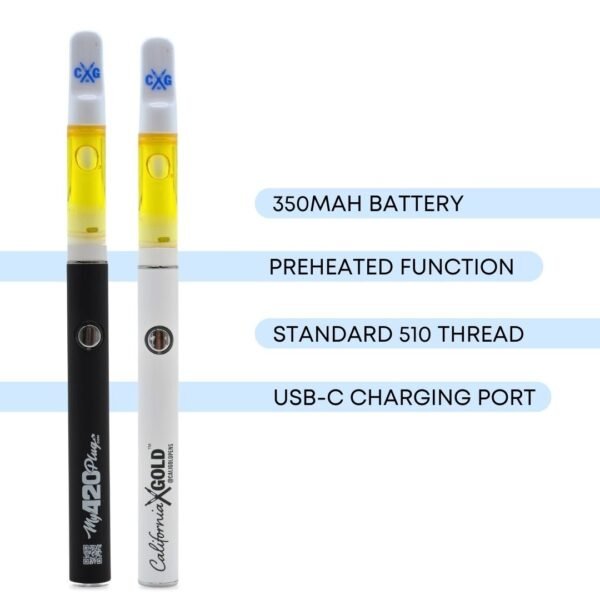 BATTERY CYLINDER 18K - Image 2