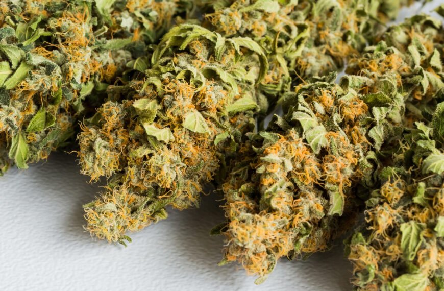 Indica, Sativa, Hybrid: What’s the Difference? (And Why You Should Care)
