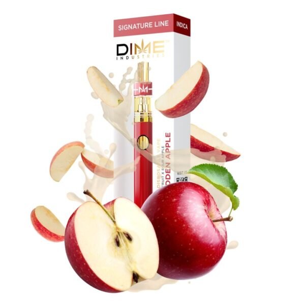 DIME DISPOSABLE - INDICA | 1000MG - Image 3