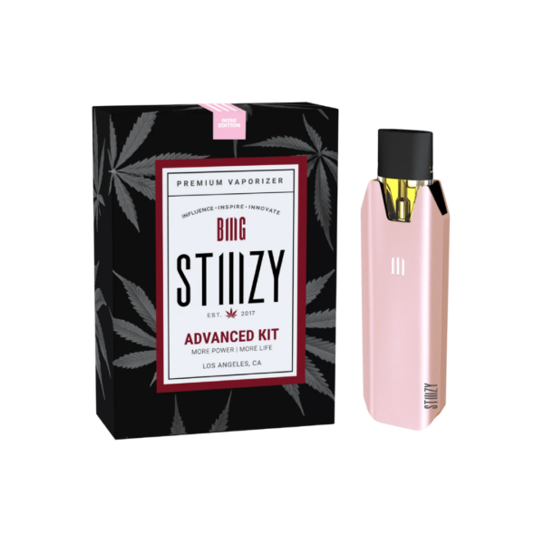 OFFICIAL BIIIG STIIIZY BATTERY - Image 3