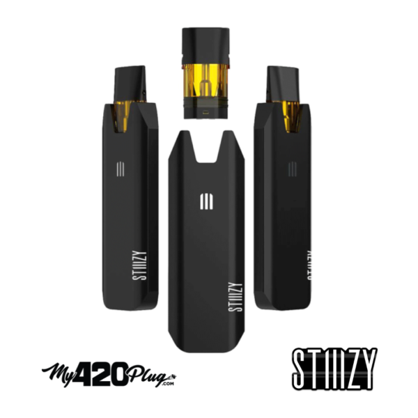 OFFICIAL BIIIG STIIIZY BATTERY - Image 2