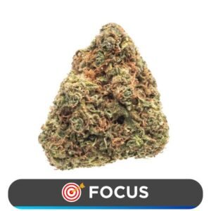 Sticky Icky