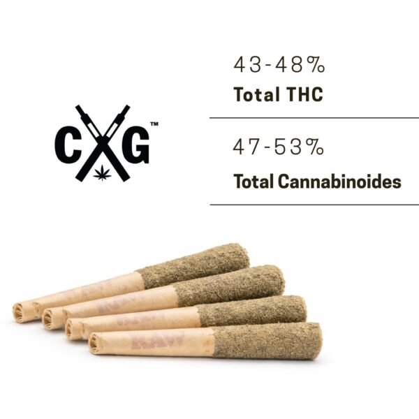 California Gold Infused Shorties Pre-Rolls – Indica