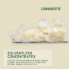 CBX Cold Cure Live Rosin