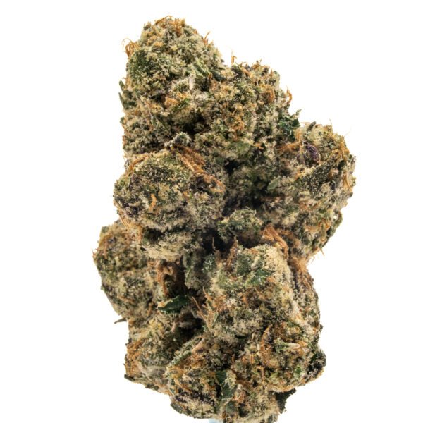 Lemon Cherry Gelato Flower