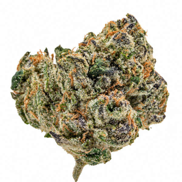 LA Pop Rocks Flower