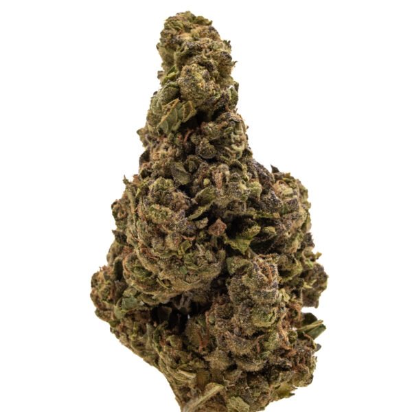 Gushers Flower