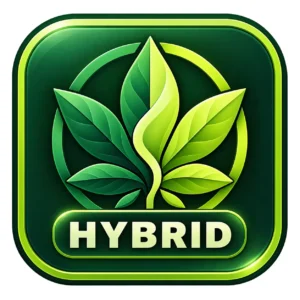 Hybrid