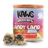 KAWS Moonrocks Candy Edition
