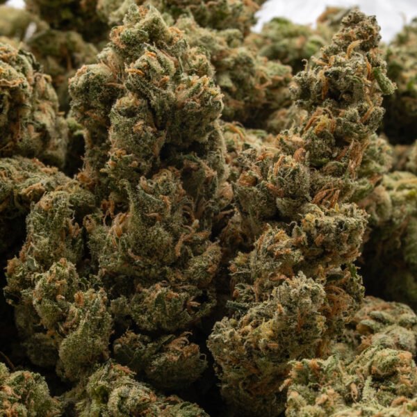 Super Silver Haze Flower