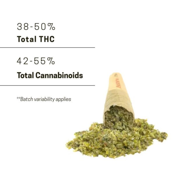 West Coast Cure Jeffrey Infused Pre-Rolls